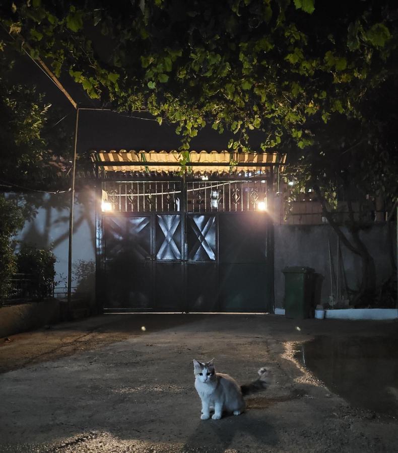 Unique Traditional House, Hosted By J&G Tirana Exterior photo